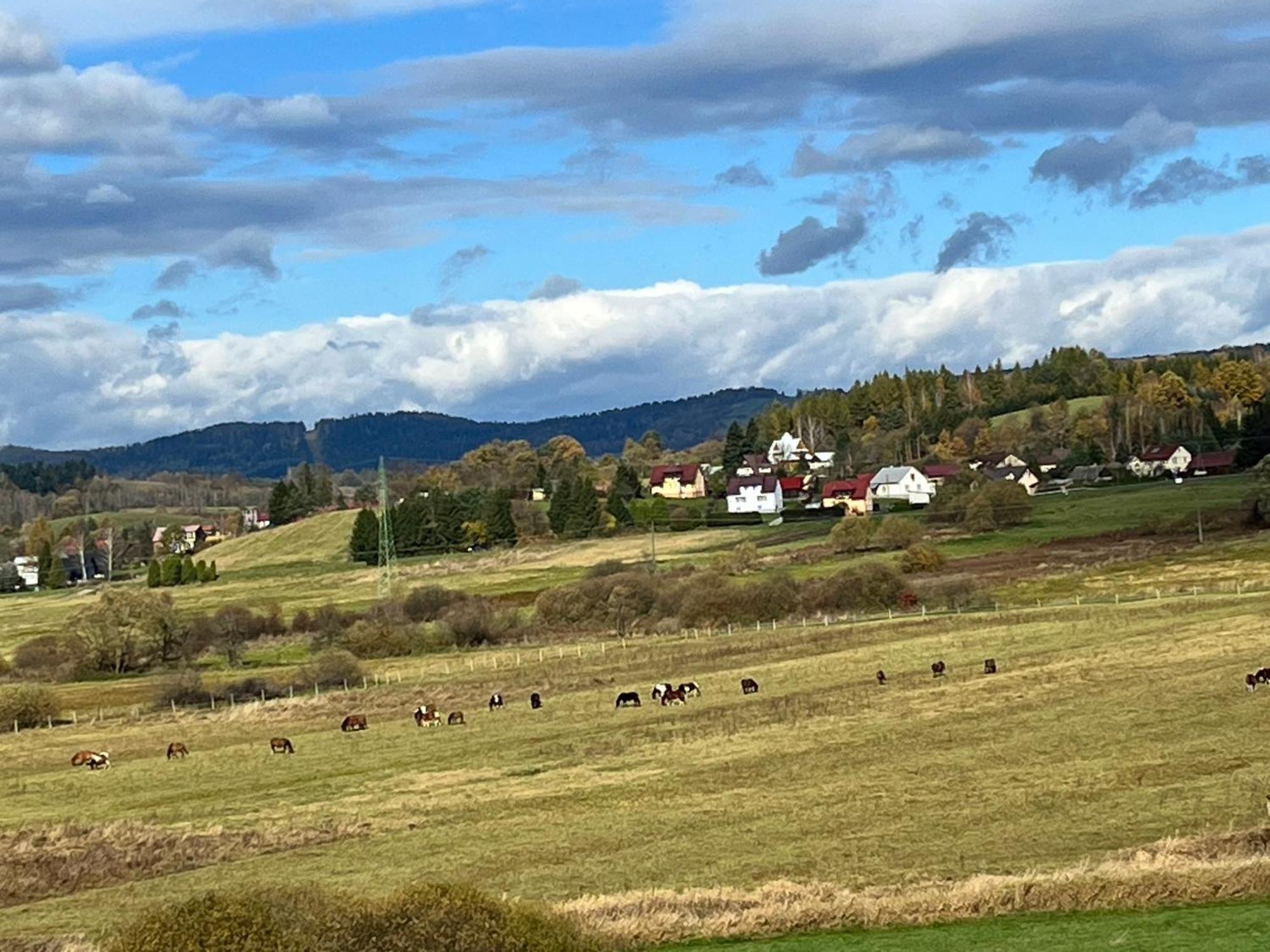 Domki Nad Stawem Uherce Uherce Mineralne Extérieur photo